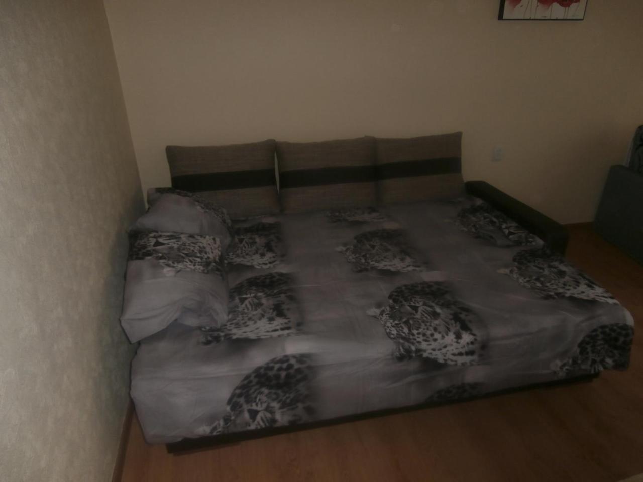Central Daugavpils Apartment ภายนอก รูปภาพ